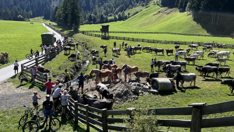 Familie Radwan – Österreich 2023, Foto 3